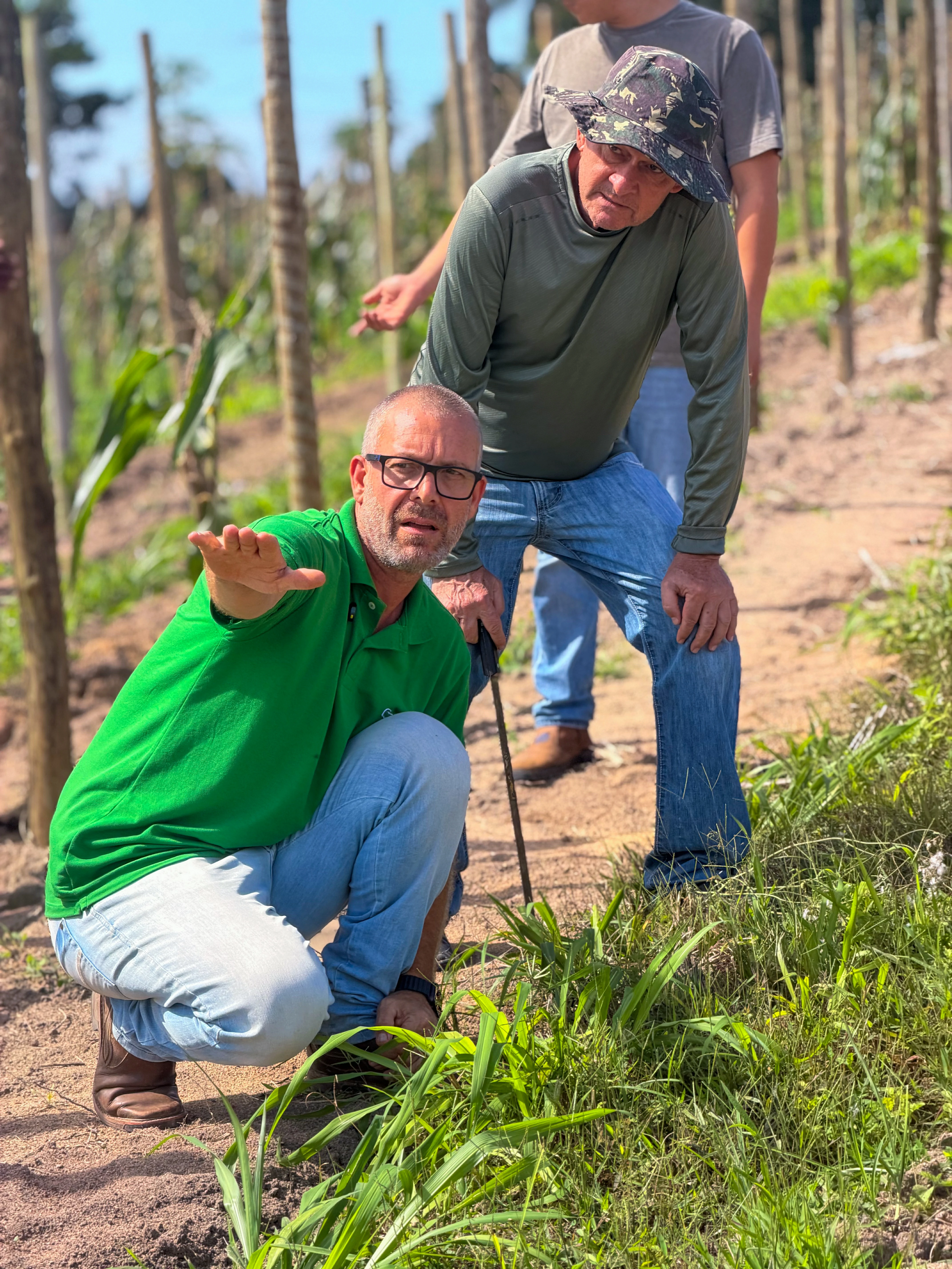Experiência prática da Erasmo Agro no campo — imagem 9 de 38